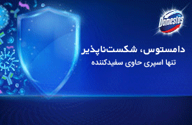 محصولات شوینده دامستوس